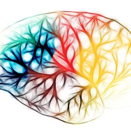 Five Simple Strategies to Boost Your Child’s Brain