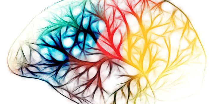 Five Simple Strategies to Boost Your Child’s Brain