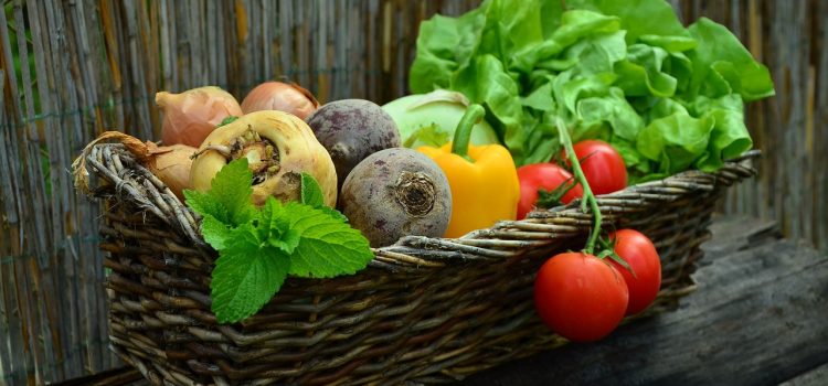 Is Your Child Eating Enough Veggies?